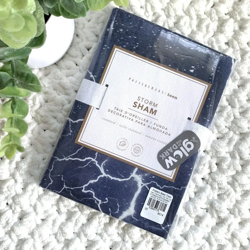 NWT 1x Pottery Barn Storm Glow-in-the-Dark Pillow Sham (Blue)
